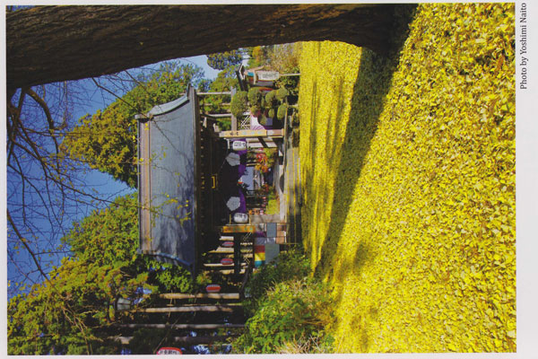 画像08